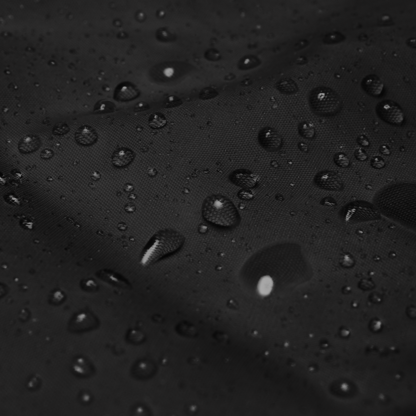Freshco Windbreaker